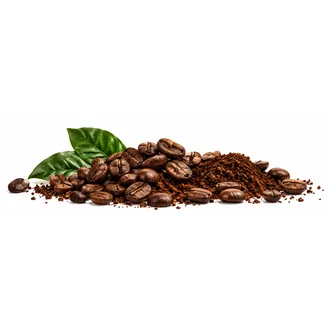 100 % Arabica